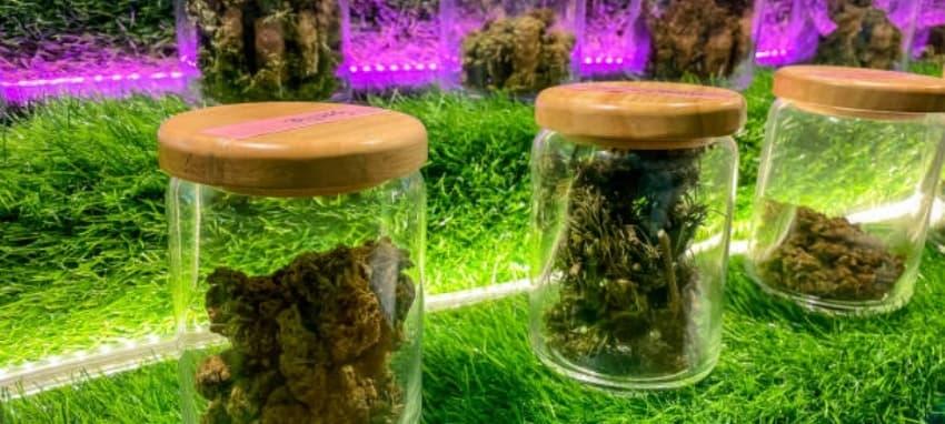 Vaporesso Luxe tapasztalatok és Vaporesso Luxe vélemények a legjobb dizájn mellett