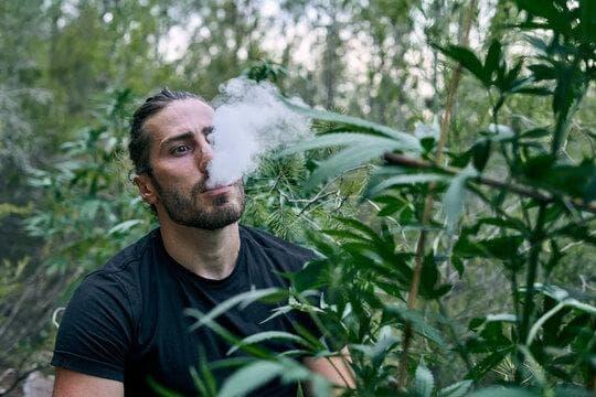 e cigi webáruház online vásárlás - széles választék, akciók és gyors kiszállítás